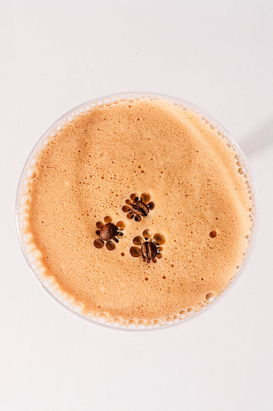 NightOwl Espresso Martinis: Perfect Recipes for a Cozy Season